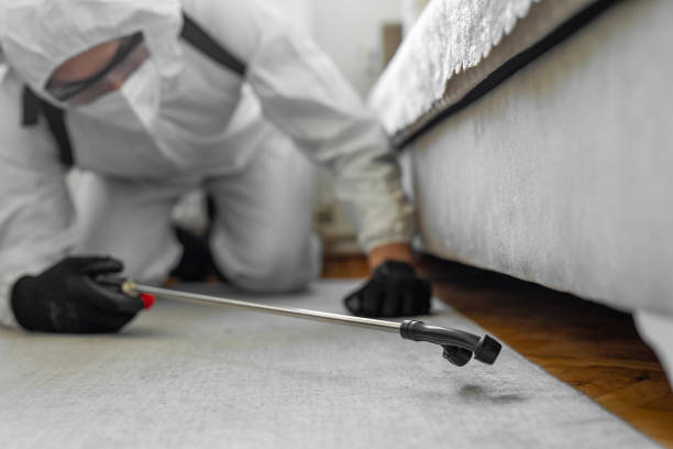Professional Bed Bug Control technician working in Rosenhayn, NJ