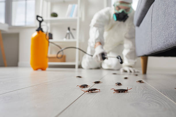 Trusted Termite Control service in Rosenhayn, NJ - Nex Pest Control